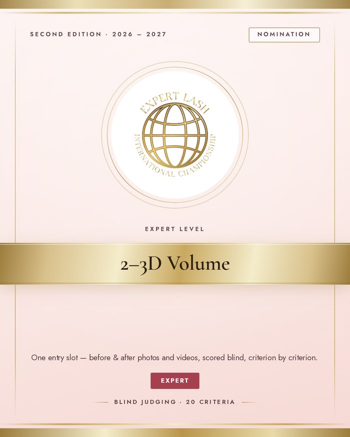2-3D Volume · Expert